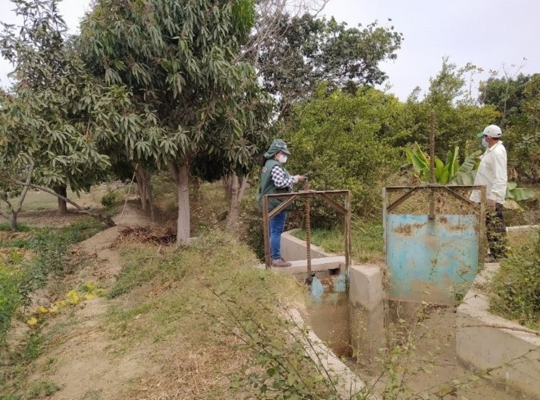 Lambayeque ejecuta estudio para mejorar la distribución de agua en el valle del río La Leche.