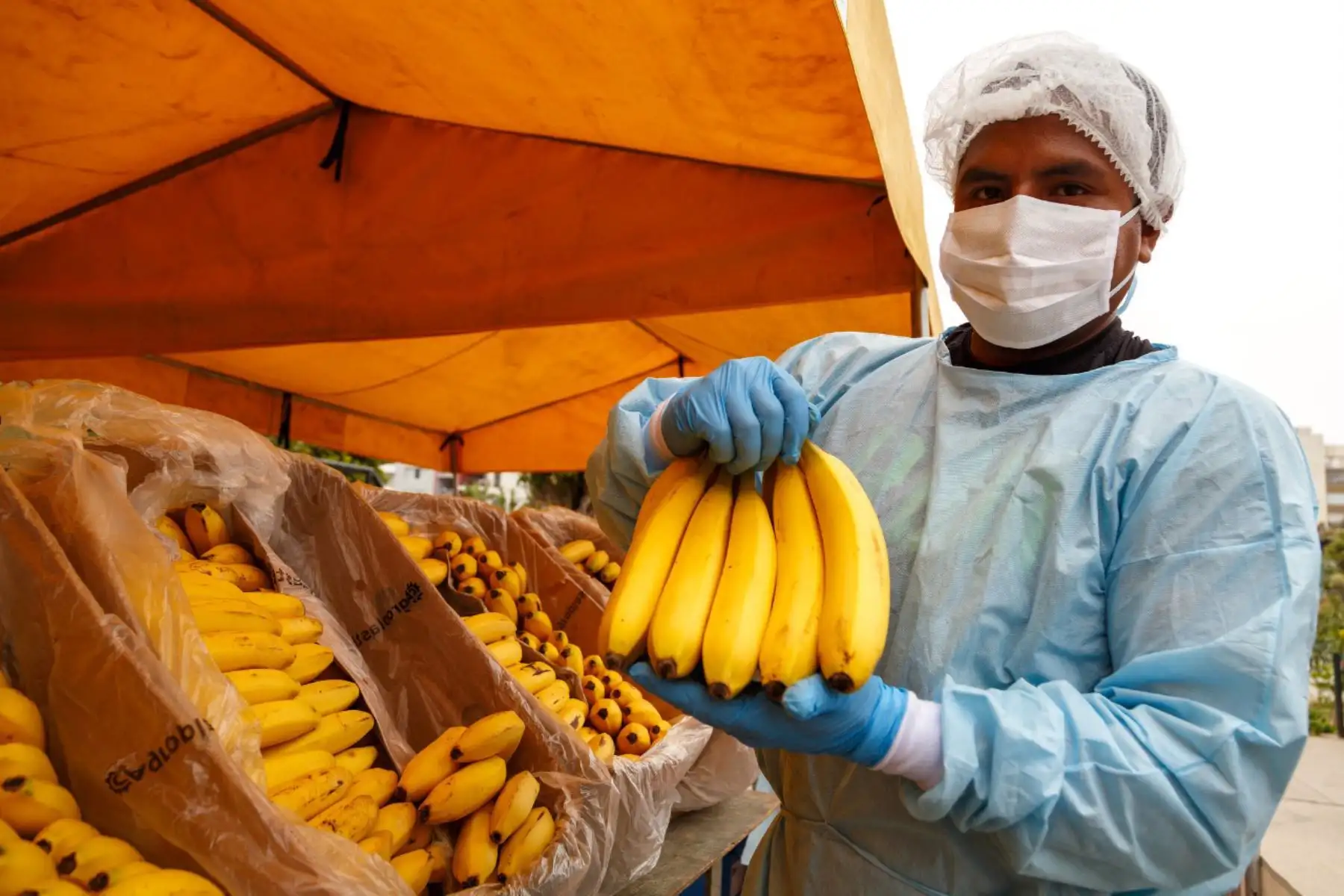 Mercados Minagri "De la Chacra a la Olla" generan más de 44.5 millones de ingresos directos a productores de la agricultura familiar.

Foto: ANDINA/MINAGRI