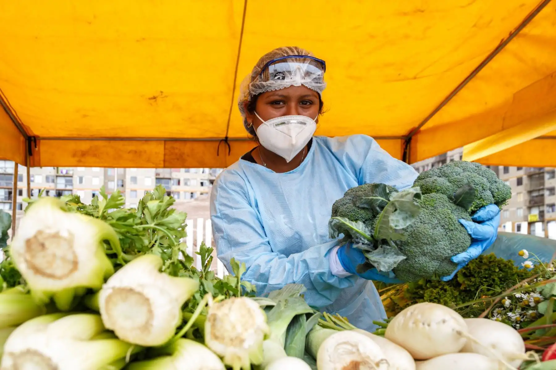 Mercados Minagri "De la Chacra a la Olla" generan más de 44.5 millones de ingresos directos a productores de la agricultura familiar.

Foto: ANDINA/MINAGRI