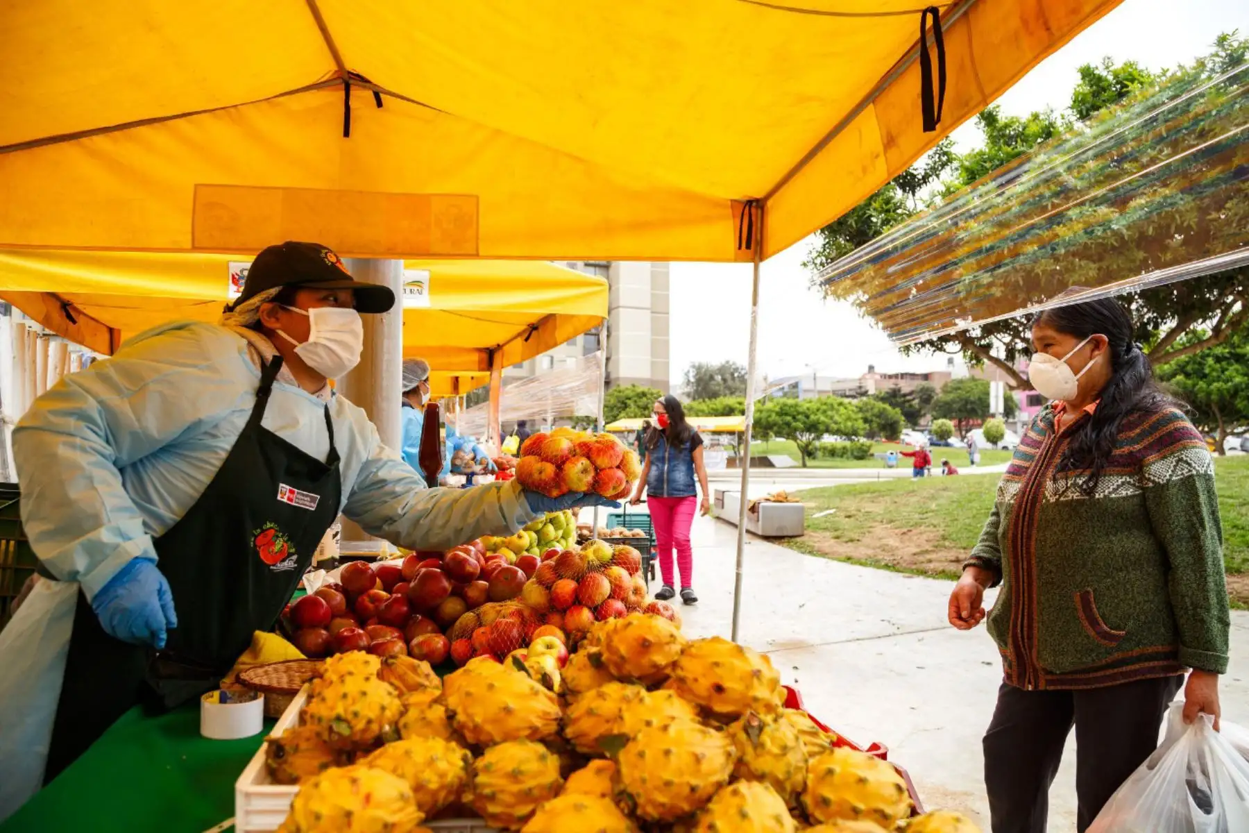 Mercados Minagri "De la Chacra a la Olla" generan más de 44.5 millones de ingresos directos a productores de la agricultura familiar.

Foto: ANDINA/MINAGRI