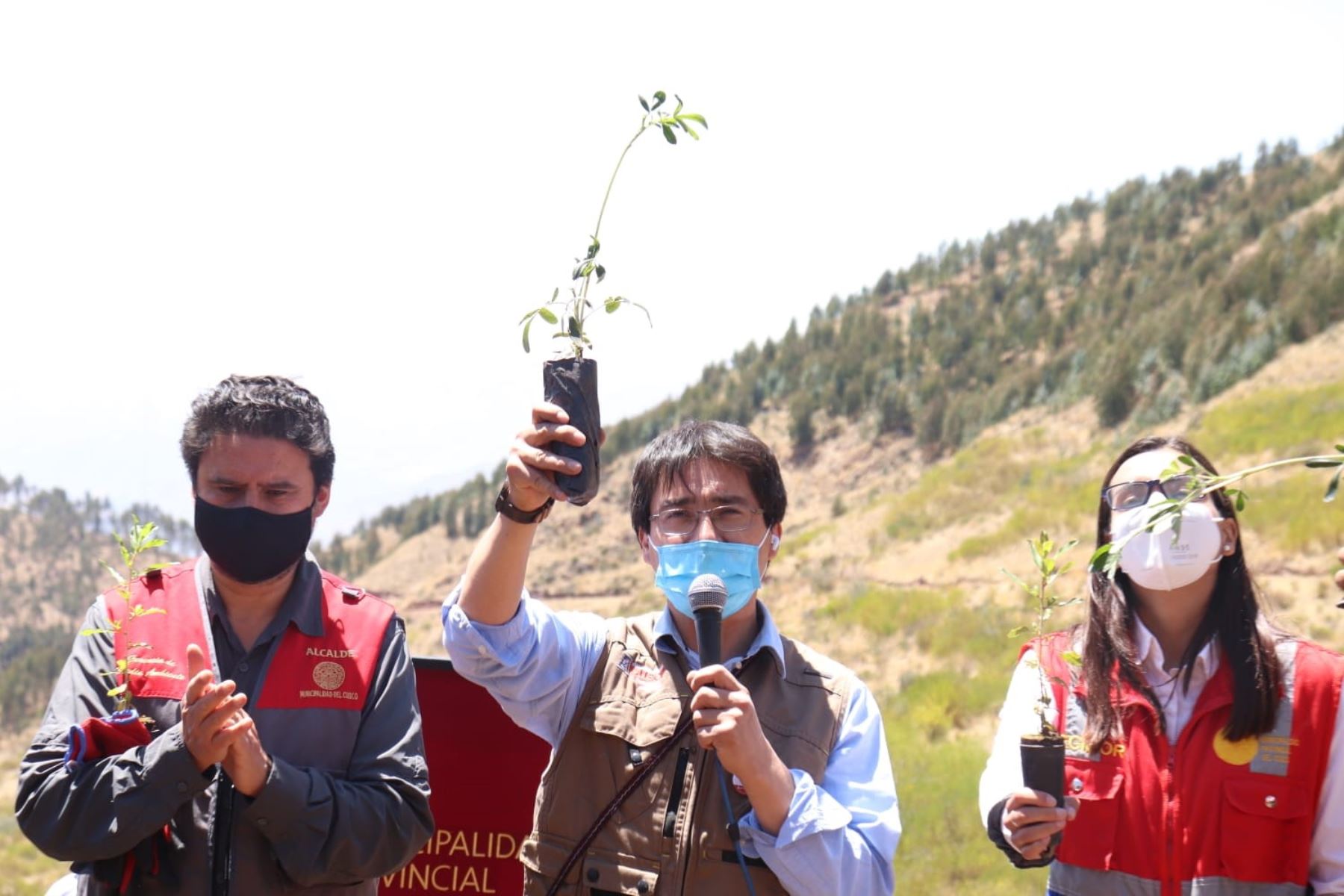 Cusco inicia campaña de reforestación cuya meta es sembrar 33 millones de árboles. Foto: ANDINA/Difusión