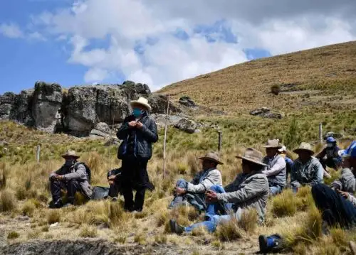 Alrededor de 3.5 millones plantones de pino y quinual sembrará el Gobierno Regional de La Libertad en las microcuencas del río Tablachaca, provincia de Santiago de Cbuco.