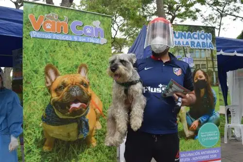 Durante jornadas de inmunización a perros, no deben participar niños ni adultos mayores por el peligro de la COVID-19. Foto: ANDINA/Minsa