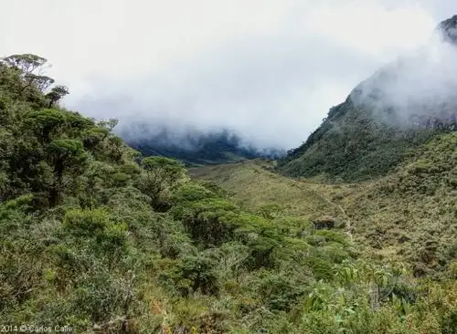 La nueva área de conservación privada Unchog, se ubica en el distrito de Churubamba, provincia y región Huánuco y protege un importante bosque de la zona. Foto: Mincetur/Carlos Calle