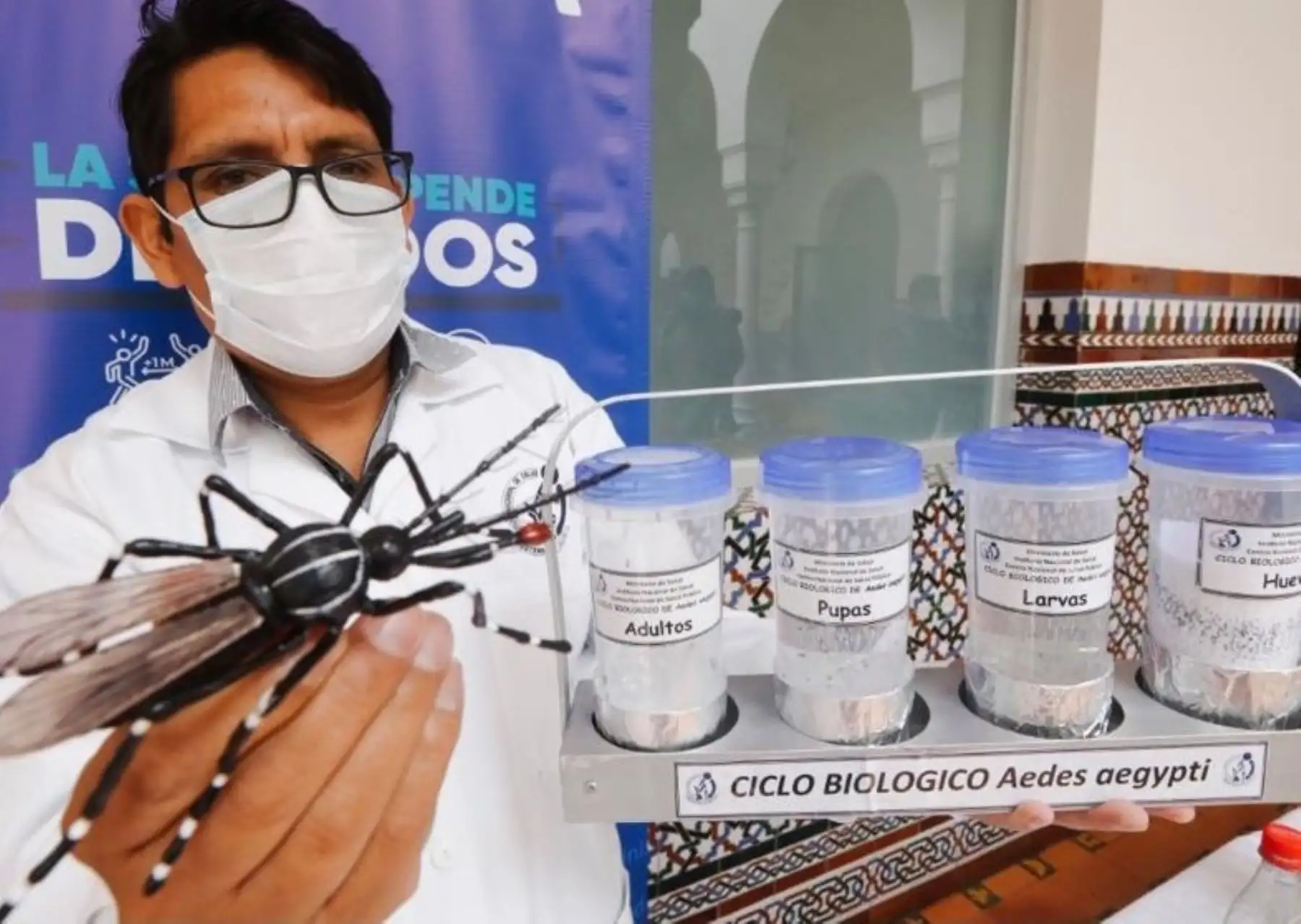 ¿Qué es el dengue y cómo evito contagiarme?. Foto: Cortesía