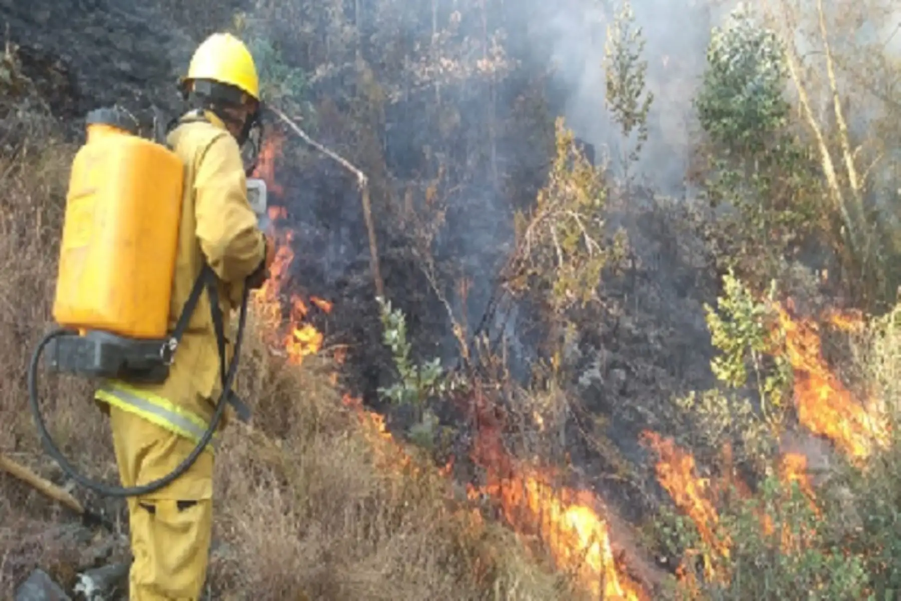 Incendios forestales: hasta el momento suman 286 eventos reportados en Áncash