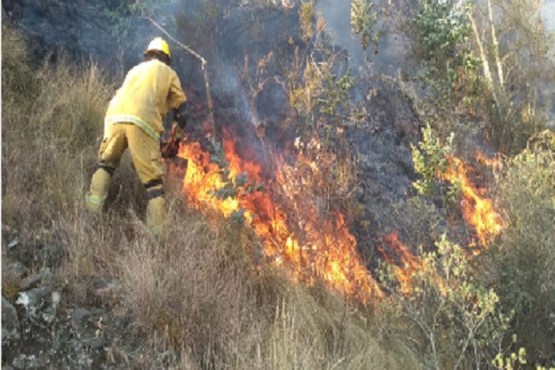 Incendios forestales: hasta el momento suman 286 eventos reportados en Áncash