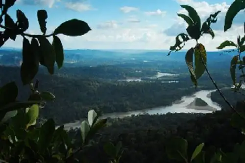 Bosques amazónicos del Perú pueden captar financiamiento con los  "bonos de carbono". ANDINA/Difusión