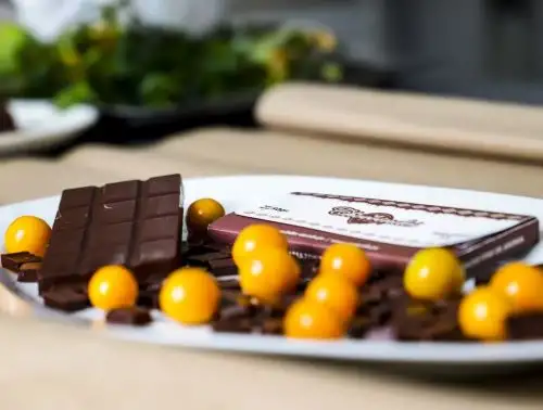 Universidad Nacional Toribio Rodríguez de Mendoza de Amazonas elabora chocolates aromatizados con frutos nativos para dar valor agregado al cacao nativo. ANDINA/Difusión
