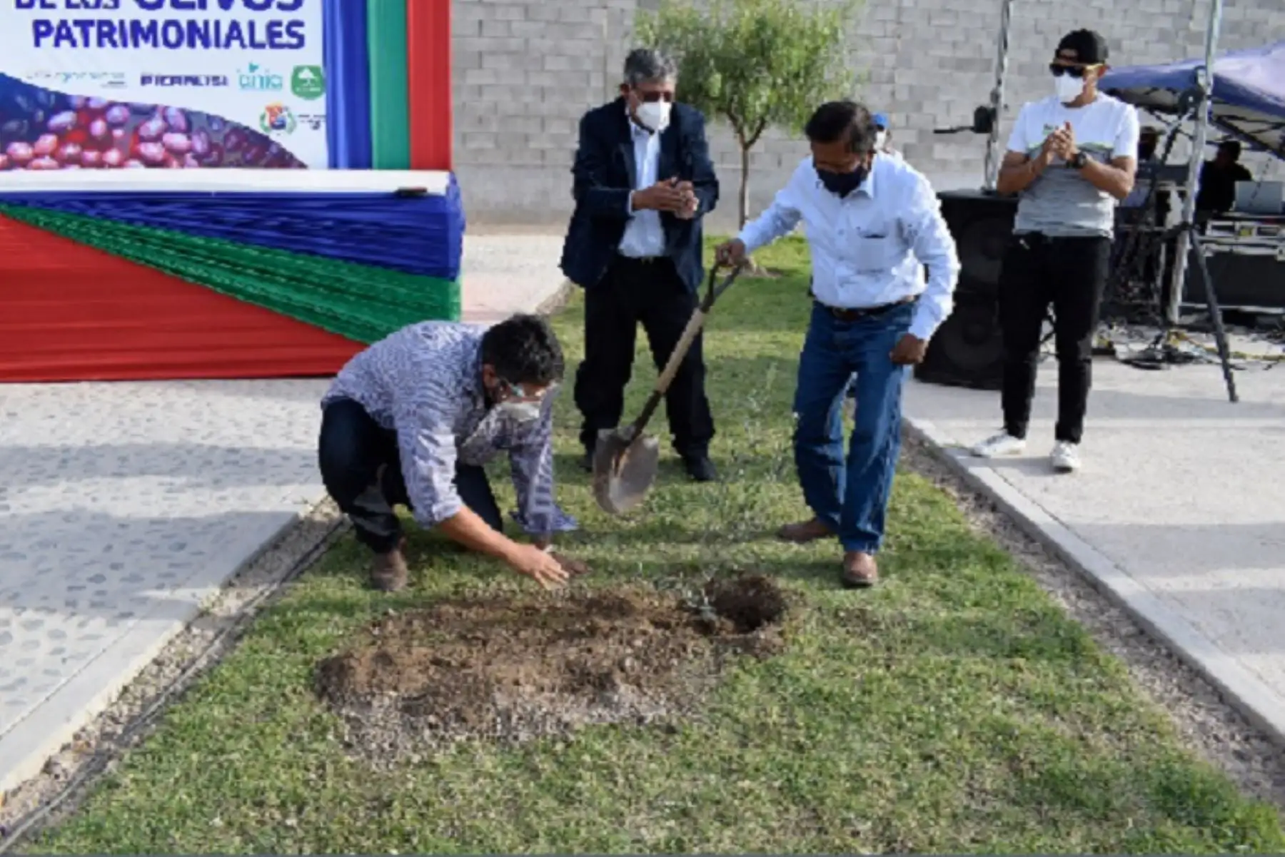 Con la participación en esta importante competencia se podrá revalorar los olivos ancestrales que se ubican en el valle de El Algarrobal en la provincia de Ilo.
