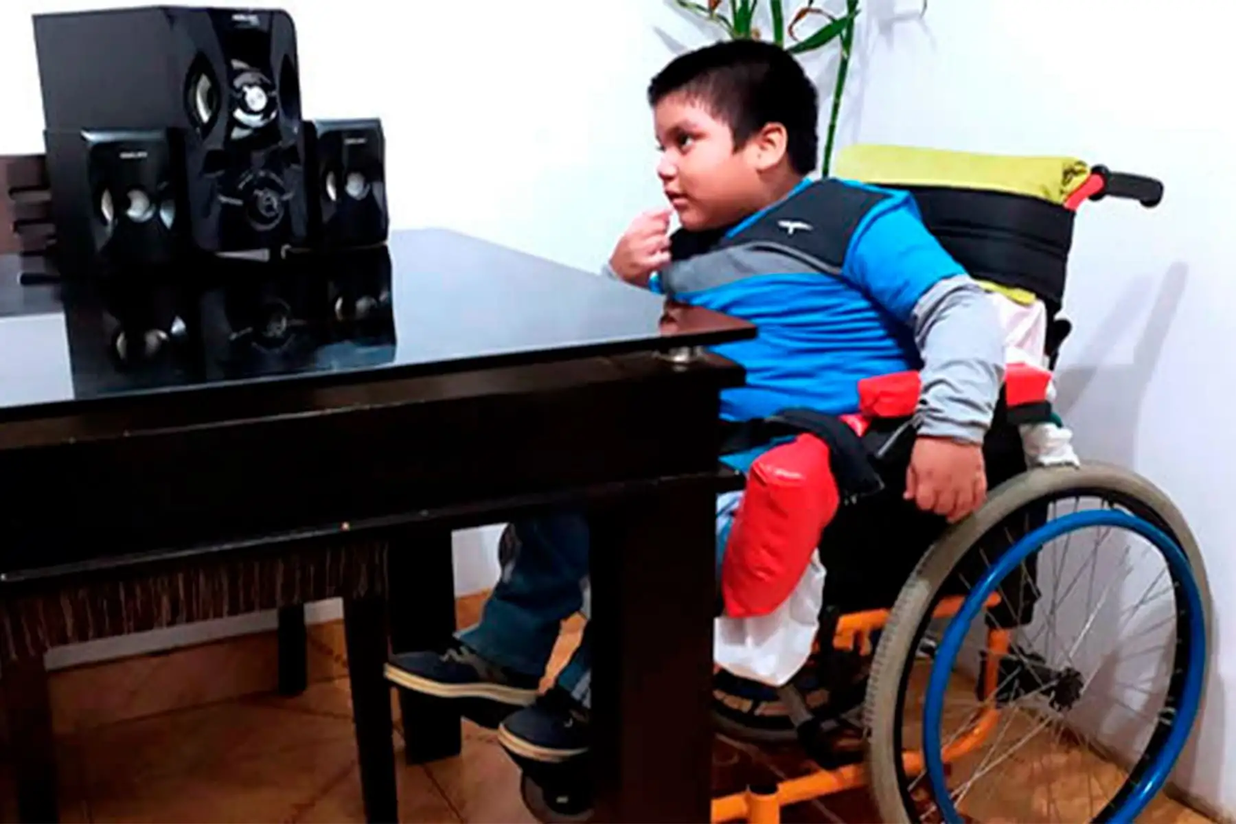 Programas de Aprendo en casa para estudiantes con discapacidad severa son un hito en la historia de la televisión peruana. Foto: ANDINA/Minedu