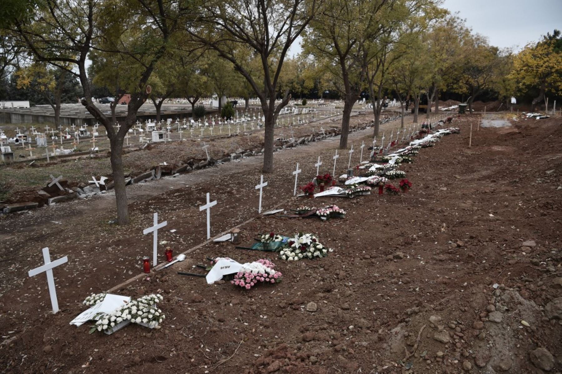 Esta foto muestra coronas funerarias en nuevas tumbas de víctimas del covid-19 en un cementerio de Salónica. Foto: AFP