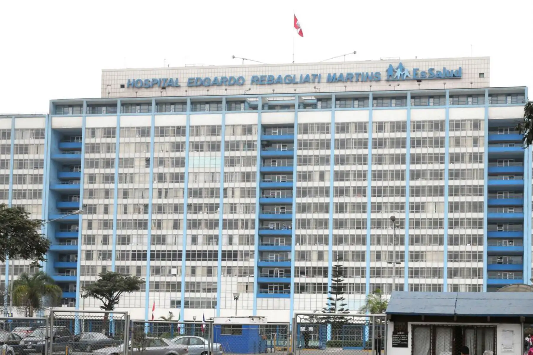 La víctima se encontraba en estado de coma en el hospital Edgardo Rebagliati de EsSalud, en Lima, donde también se le amputó la pierna derecha porque se le estaba gangrenando. Foto ANDINA/Difusión