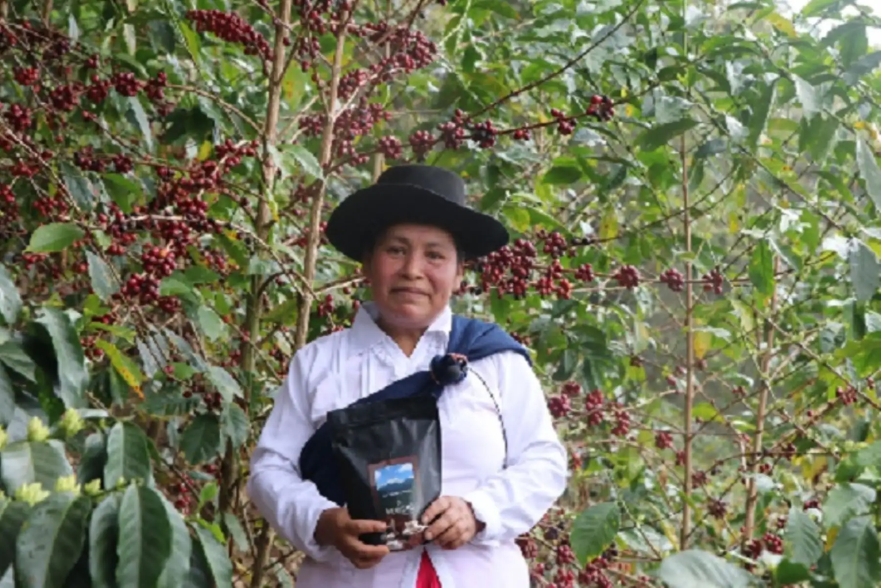 Venta de café cusqueño en subasta internacional es un excelente resultado para la industria de los cafés especiales del país.