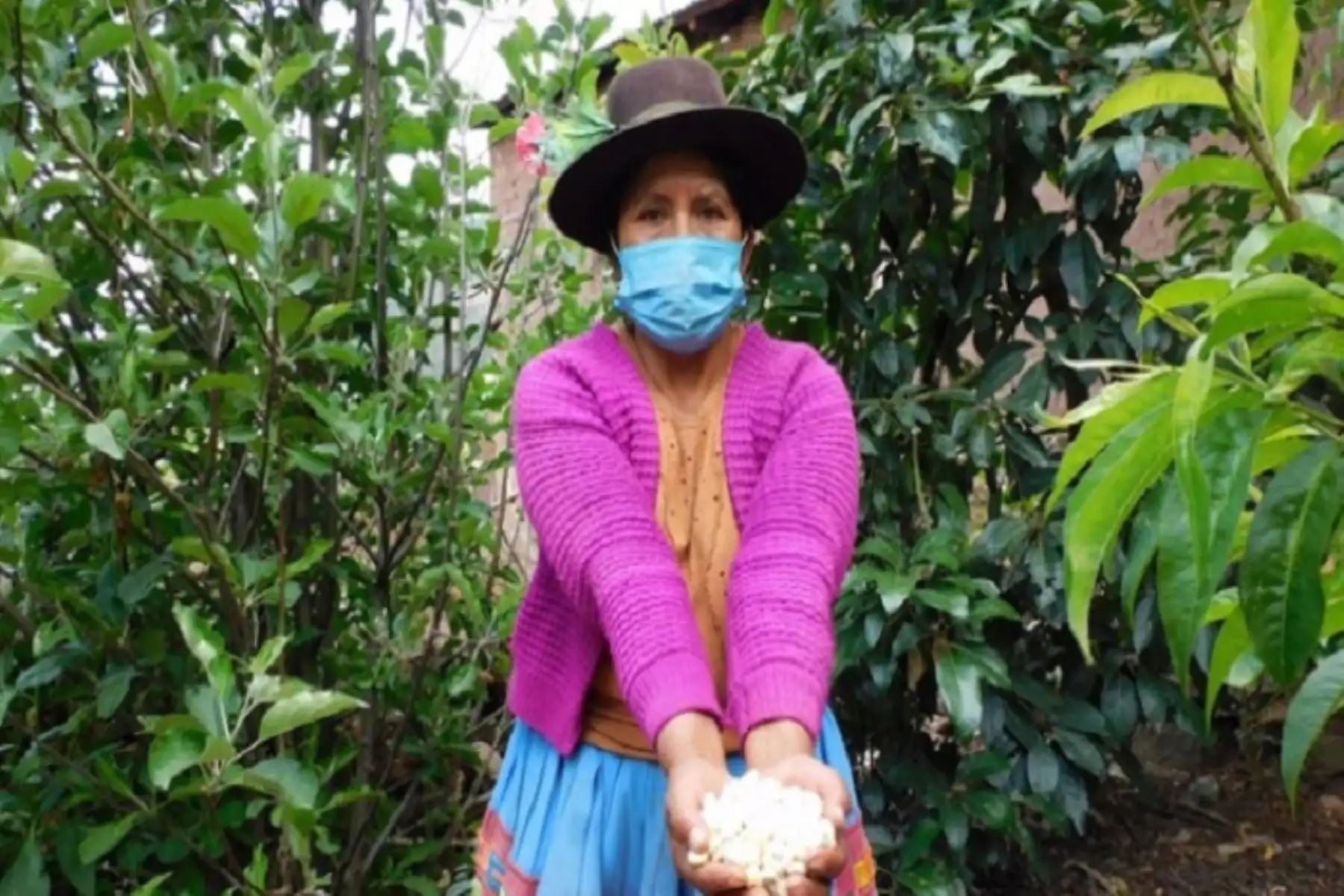 El uso indiscriminado de productos químicos de uso agrícola causa presencia de residuos tóxicos en los alimentos, degradación de los ecosistemas productivos y afectación de la biodiversidad, contaminación del agua y aumento de los costos de producción.