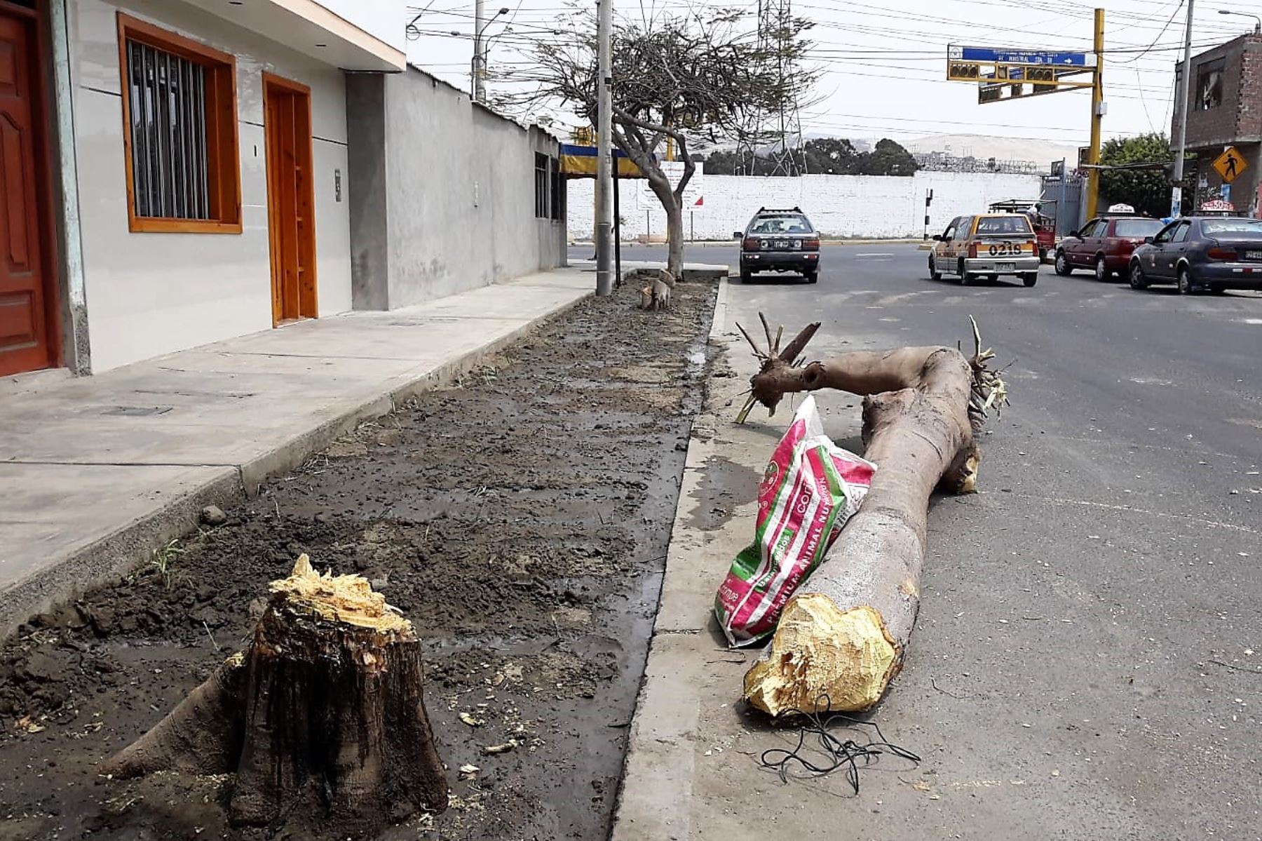 Municipio del Santa multó a ciudadanos por tala de árboles.