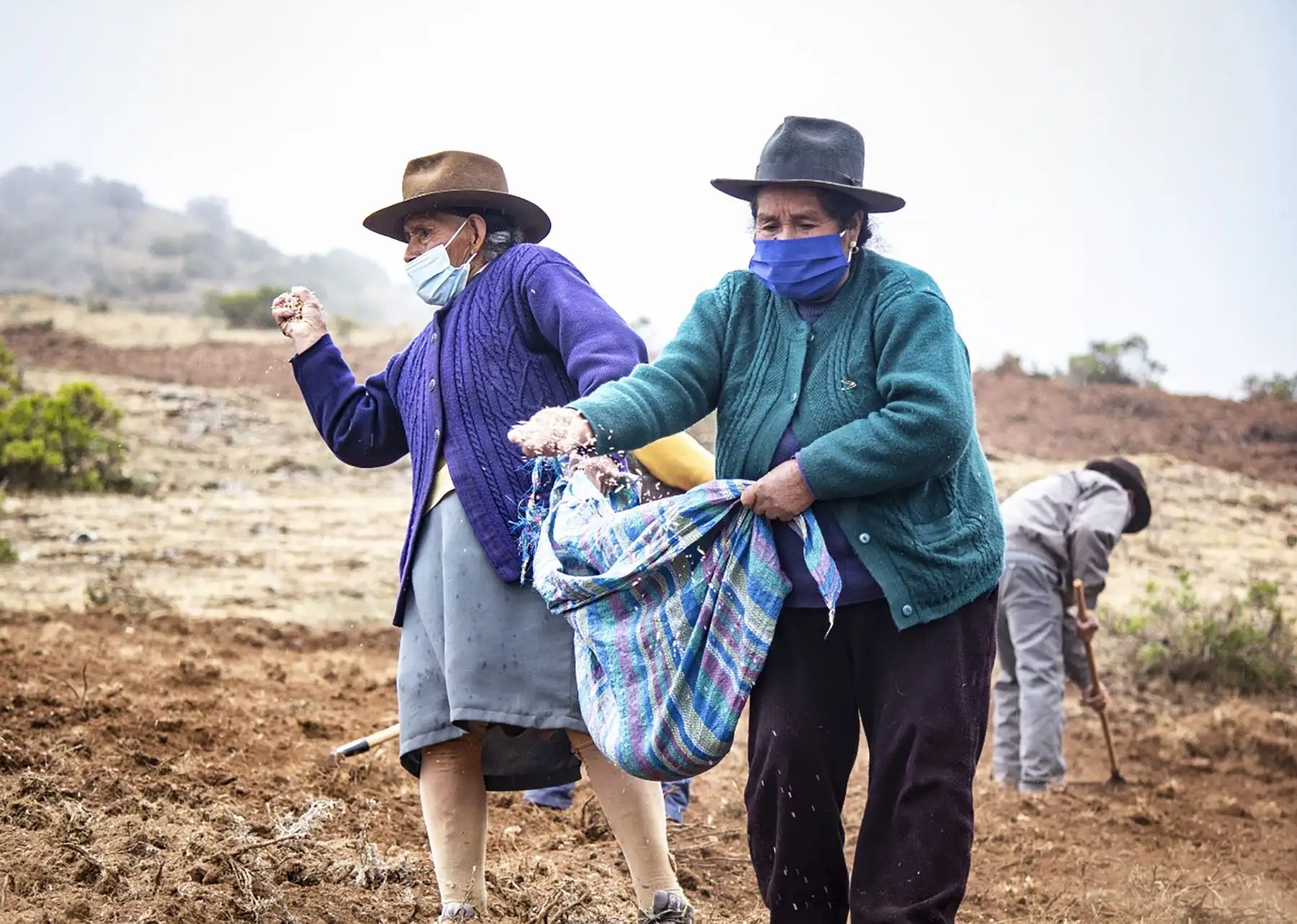 Agro Rural realiza jornada de instalación de semillas de pasto en los distritos de Santa Cruz de Andamarca y 27 de noviembre, como parte de la Campaña de Pastos y Forrajes en la región Lima, provincia de Huaral.* ANDINA/Agro Rural