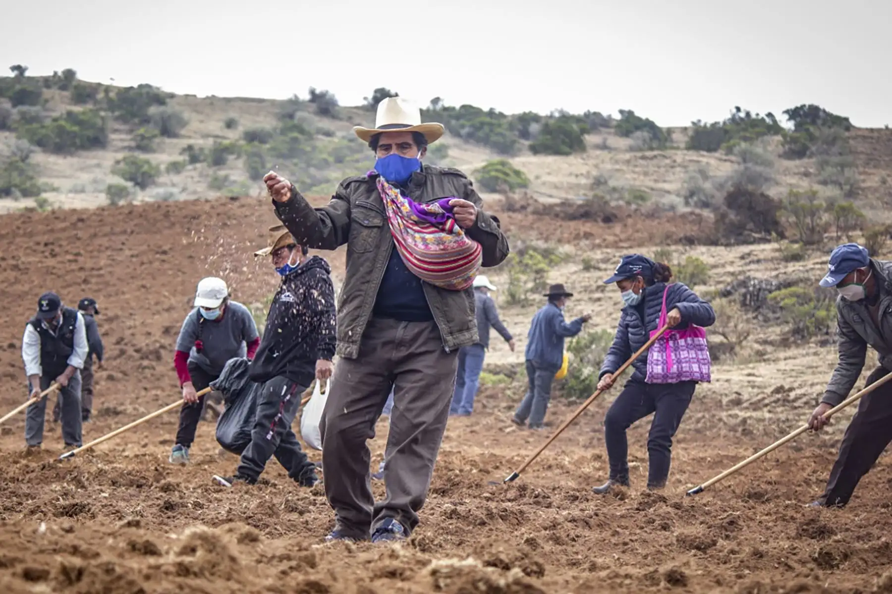 Agro Rural realiza jornada de instalación de semillas de pasto en los distritos de Santa Cruz de Andamarca y 27 de noviembre, como parte de la Campaña de Pastos y Forrajes en la región Lima, provincia de Huaral.* ANDINA/Agro Rural