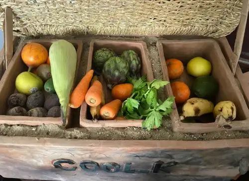 Este prototipo cuesta cuatro veces menos que los refrigeradores del mercado.