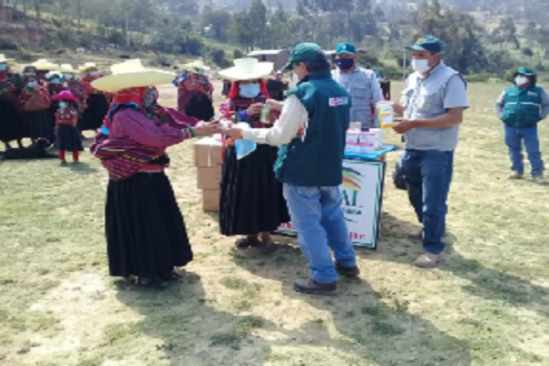 Con la distribución de kits veterinarios (antiparasitarios, antibióticos, vitaminas y reconstituyentes) se prevé la protección de 26,160 animales de las familias ganaderas.