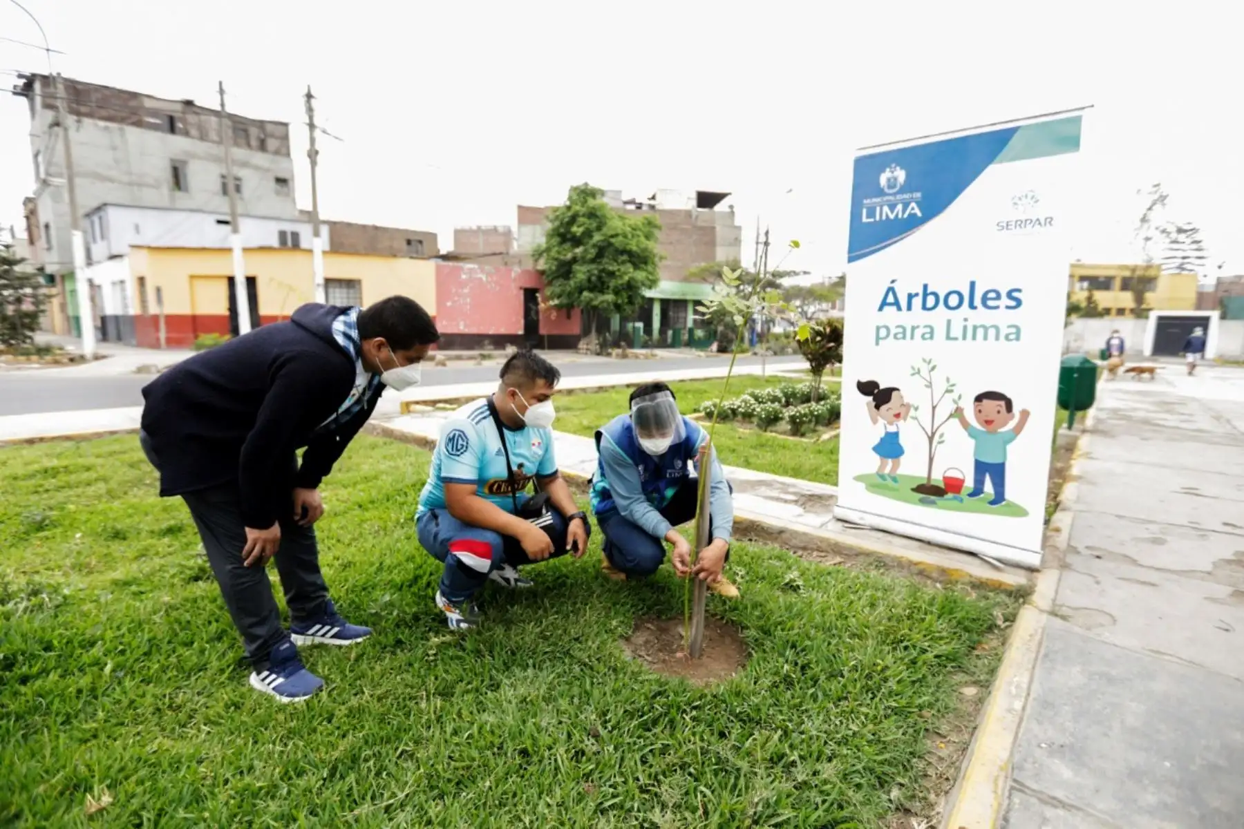 ANDINA/Difusión