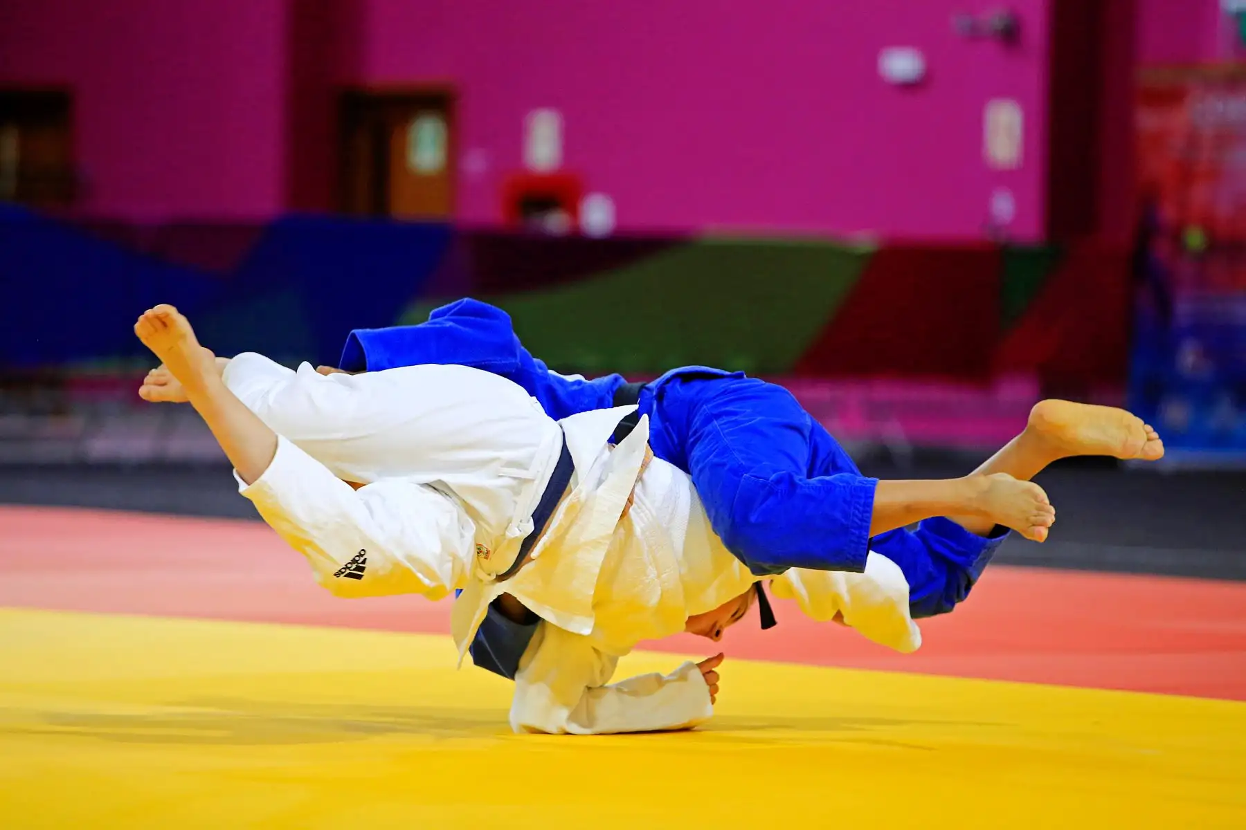 Un total de seis medallas obtuvo la selección nacional en el Open Panamericano de Judo 2020, que se llevó a cabo en el Polideportivo 3, administrado por el Proyecto Especial Legado Lima 2019.Dos preseas de oro y cuatro de bronce obtuvo el conjunto nacional en el primer día del certamen que se desarrolló en el recinto que fue remodelado para los Juegos Panamericanos y Parapanamericanos Lima 2019.   Foto : ANDINA