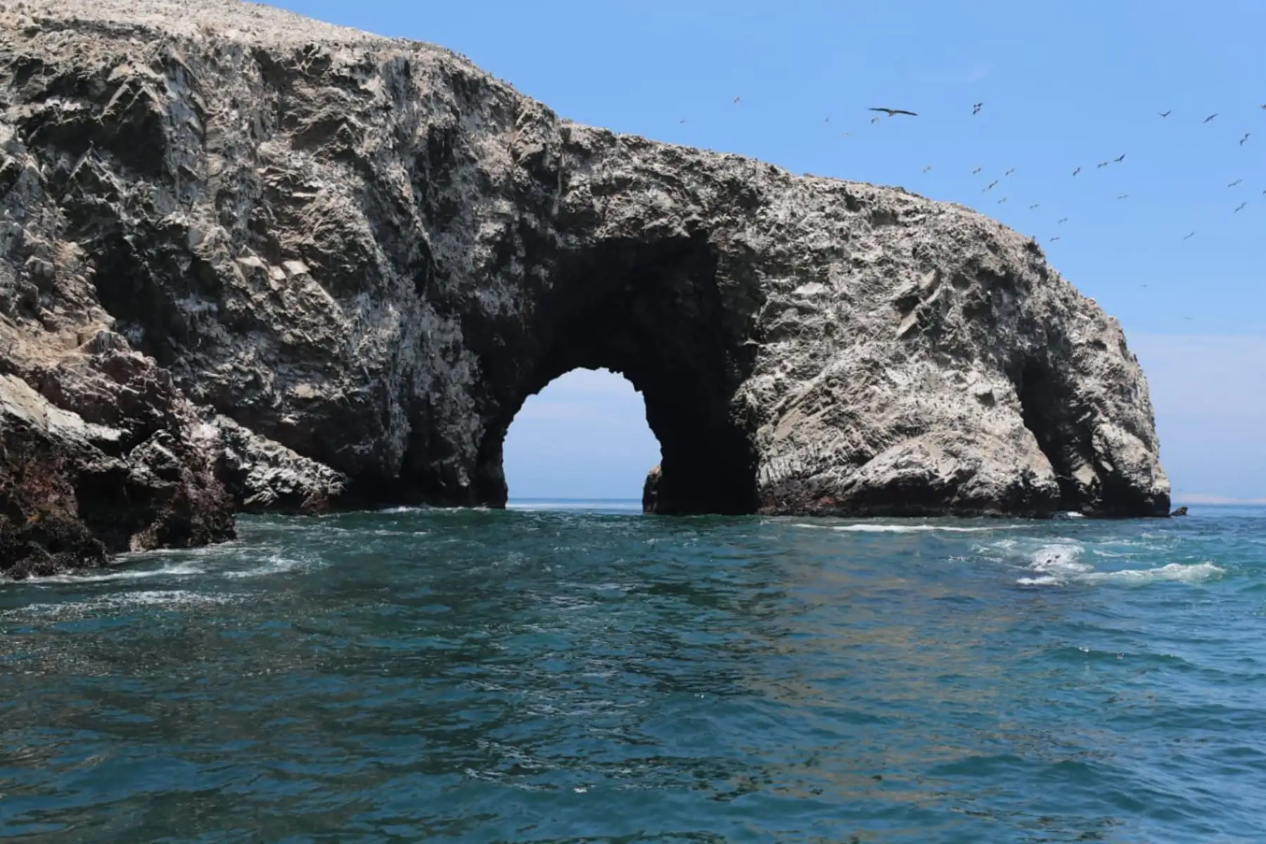 Ministro del Ambiente, Gabriel Quijandría, participa de la reactivación turística biosegura al interior de las áreas naturales protegidas, Islas Ballestas - Reserva Nacional Sistema de Islas, Islotes y Puntas Guaneras".
Foto: MINAM