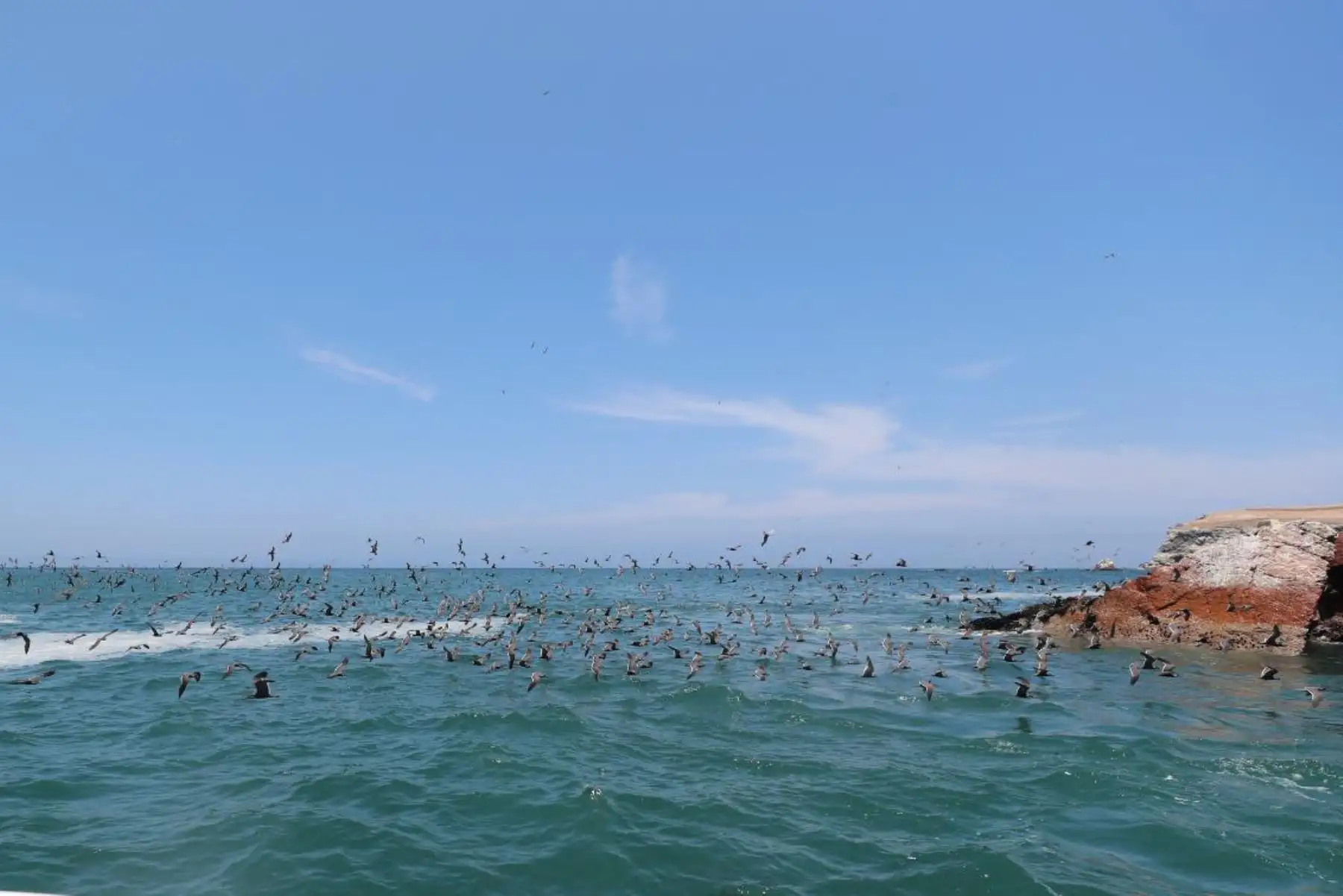 Ministro del Ambiente, Gabriel Quijandría, participa de la reactivación turística biosegura al interior de las áreas naturales protegidas, Islas Ballestas - Reserva Nacional Sistema de Islas, Islotes y Puntas Guaneras".
Foto: MINAM