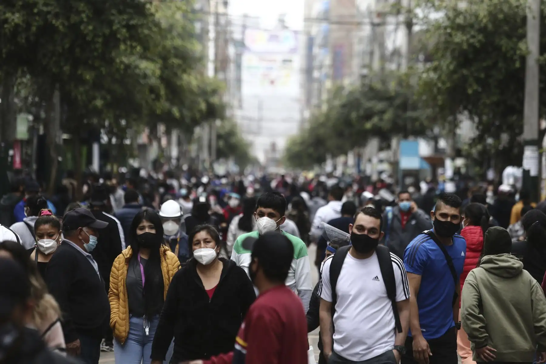 Foto: ANDINA/difusión.
