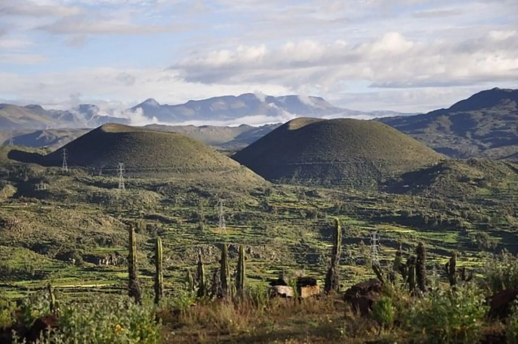 ANDINA/Difusión