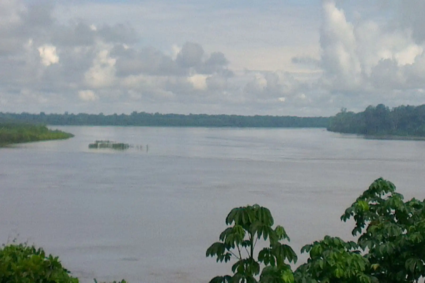 Las intensas lluvias ocasionaron el incremento del caudal de los ríos Madre de Dios y Colorado, reportó el Indeci. Foto: ANDINA/Difusión