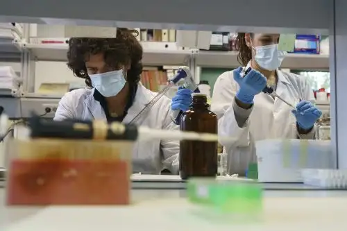 Un grupo de investigadores aseguró que había identificado particularidades genéticas que podrían explicar porqué algunos pacientes sufren un versión más severa del covid-19, lo que podría según ellos ayudar a mejorar los tratamientos. Foto: AFP.