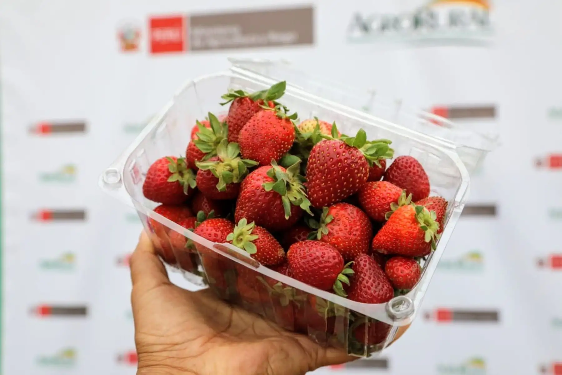 Inicia rueda de negocios agroecológicos, en Mercado #DeLaChacraALaOlla, en San Luis; con el objetivo de facilitar el acceso directo entre el pequeño productor agropecuario y el empresario agrícola o agroexportador. Foto: ANDINA/Minagri