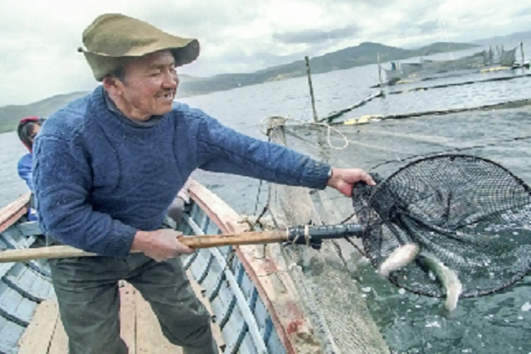 El Ministerio de la Producción autorizó el otorgamiento de subvenciones por un total de 10 millones 294,079.50 soles a favor del Programa Nacional de Innovación en Pesca y Acuicultura (PNIPA) y de Innóvate Perú para impulsar este sector.