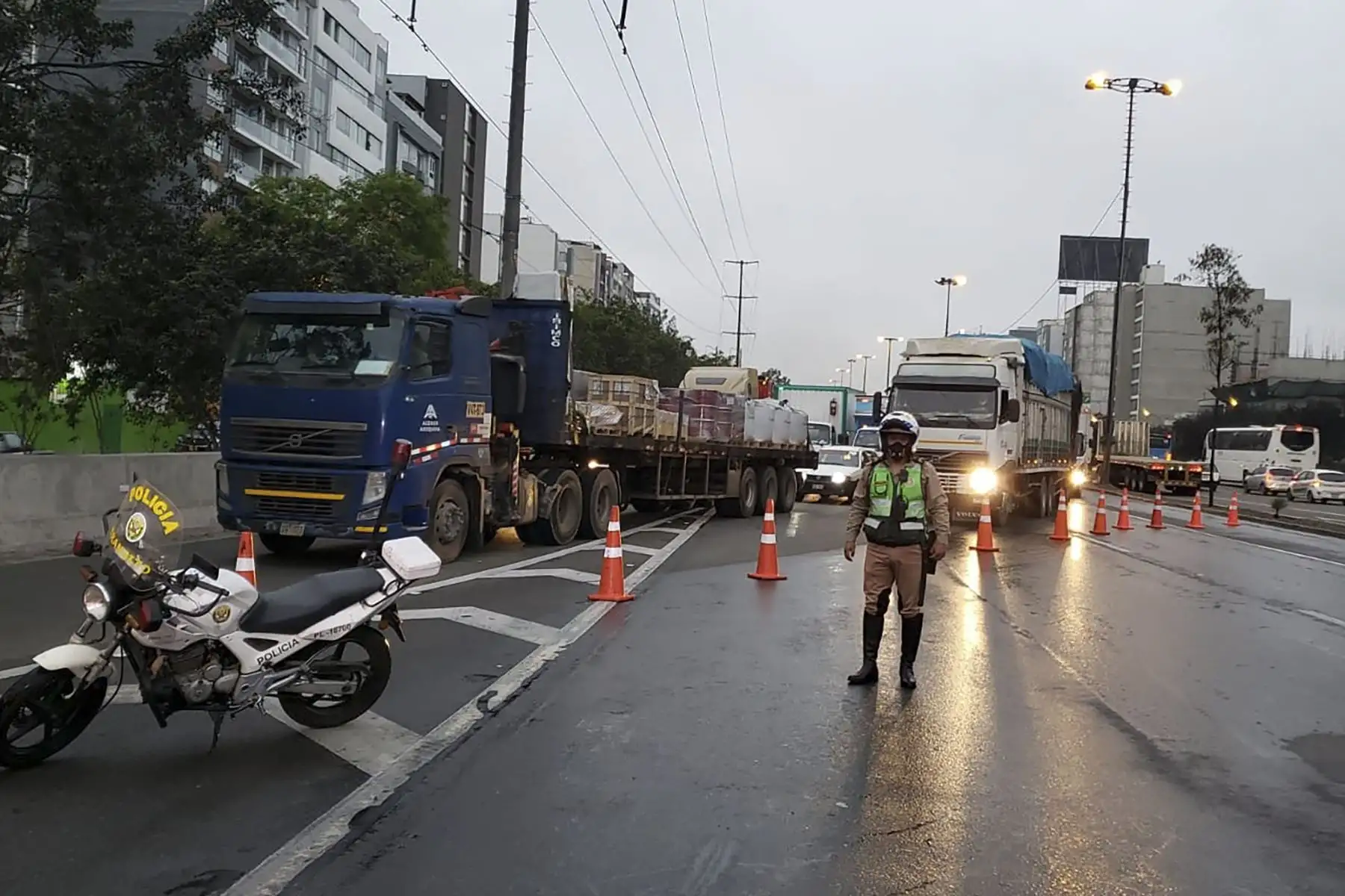 Foto:ANDINA./Difusión