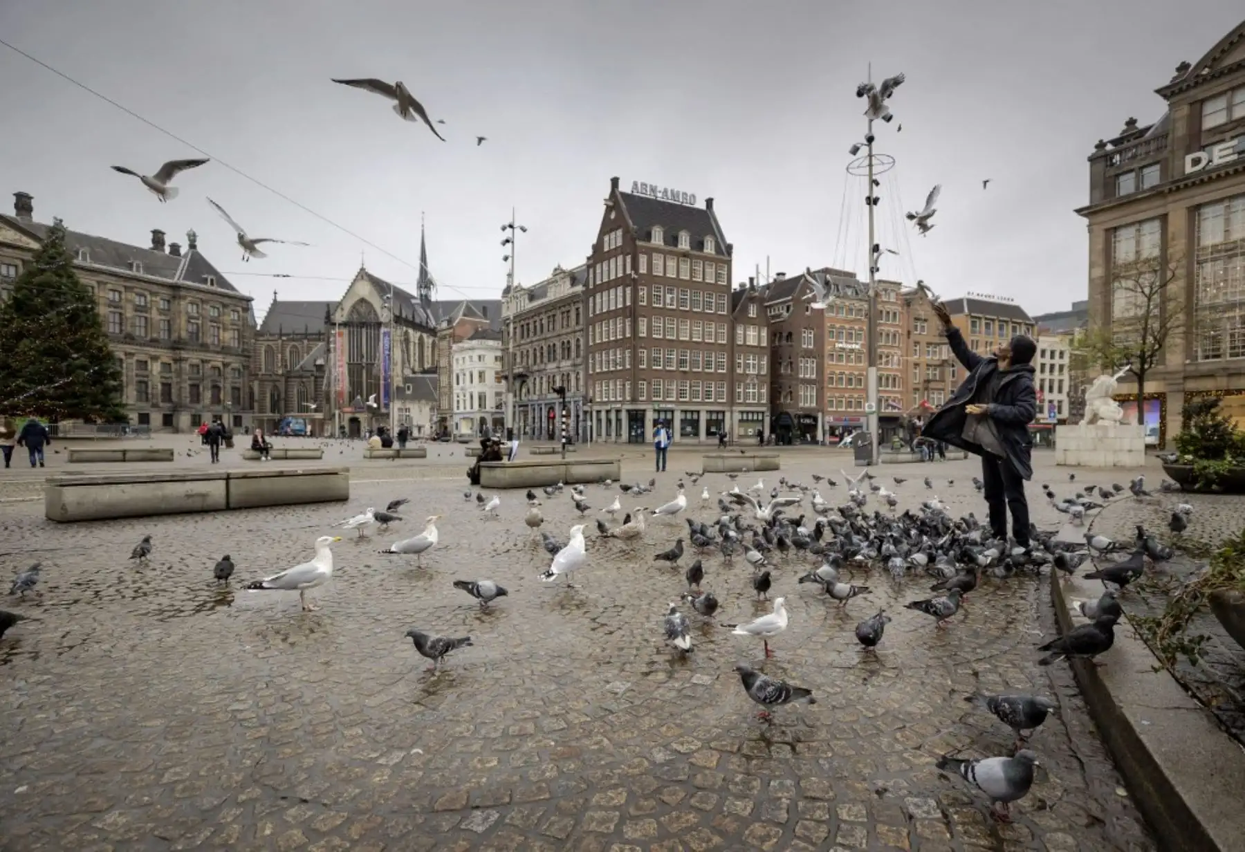 Un hombre alimenta palomas en la plaza Dam en Ámsterdam, el 15 de diciembre de 2020, un día después de que el primer ministro anunciara un nuevo cierre para detener la propagación de la pandemia Covid-19 causada por el nuevo coronavirus. Foto: AFP