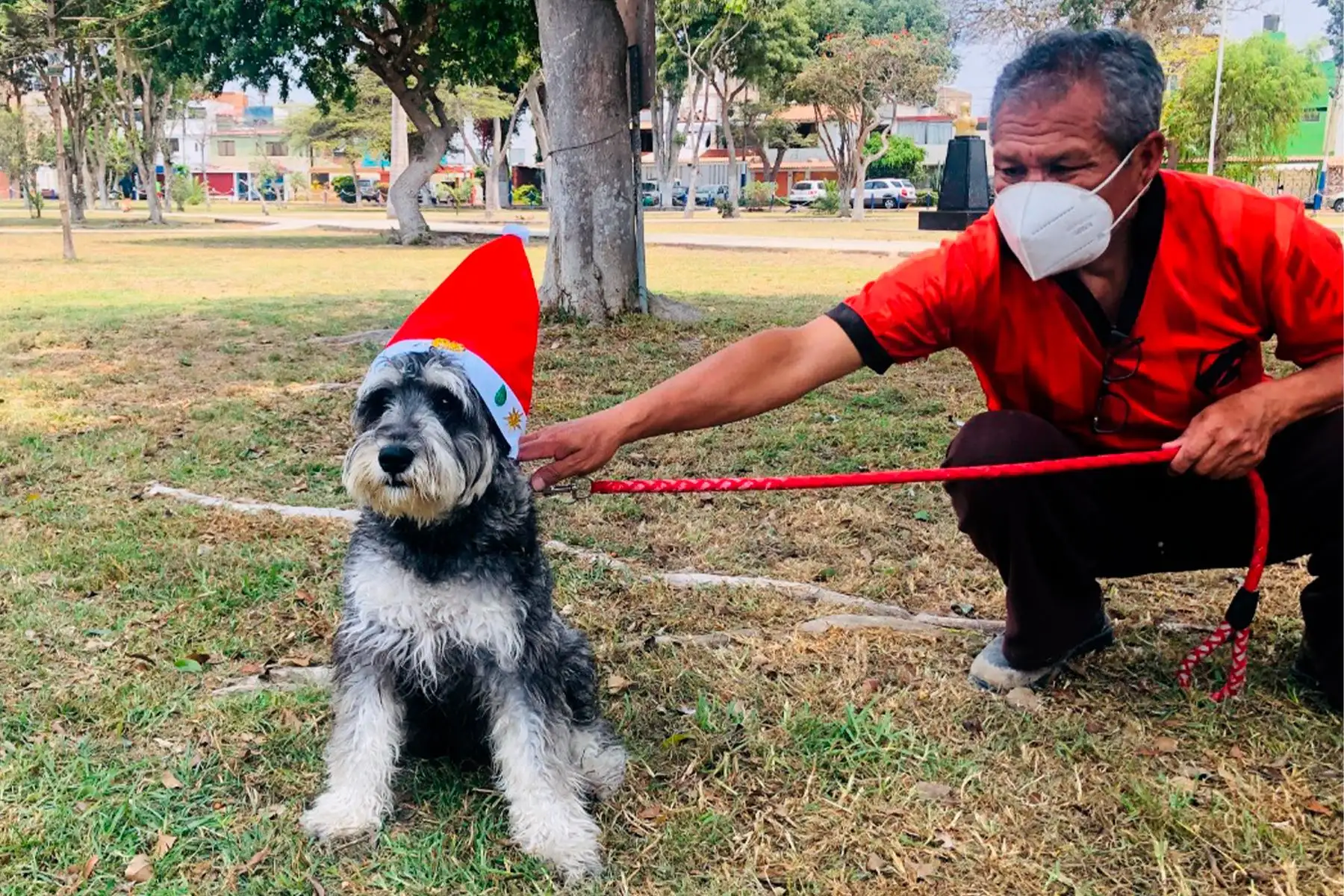 Actividad se realizará en el marco de los Jueves de Patitas, este 17 de diciembre, a las 3 p.m., en el club zonal Huayna Cápac de San Juan de Miraflores. Foto: ANDINA/MML