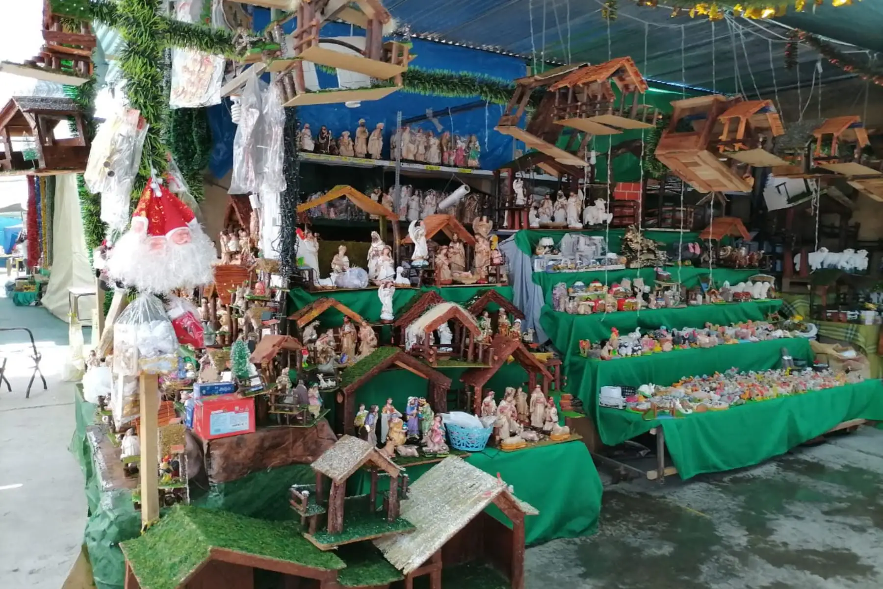 El Serfor busca evitar el tráfico ilegal de flora y fauna silvestre durante fiestas de fin de año. Foto: ANDINA/Difusión