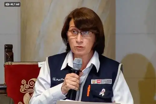 "Me preocupa el cierre del año porque la gente joven tiene percepción de riesgo menor", refirió la ministra de Salud. Foto: ANDINA/archivo