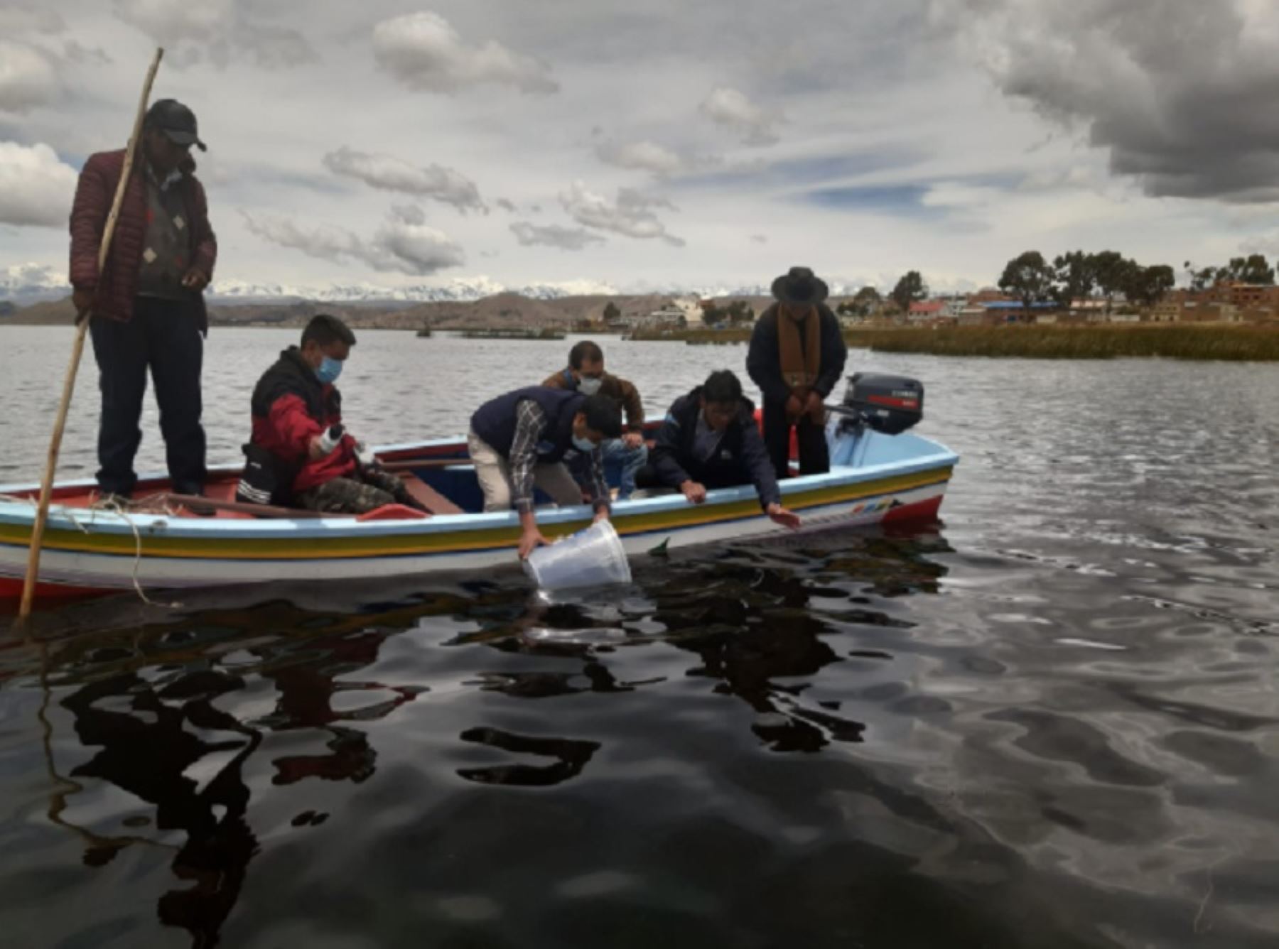 Implementarán laboratorios para reproducir peces nativos en cuenca del lago Titicaca, región Puno. Foto: ANDINA/difusión.