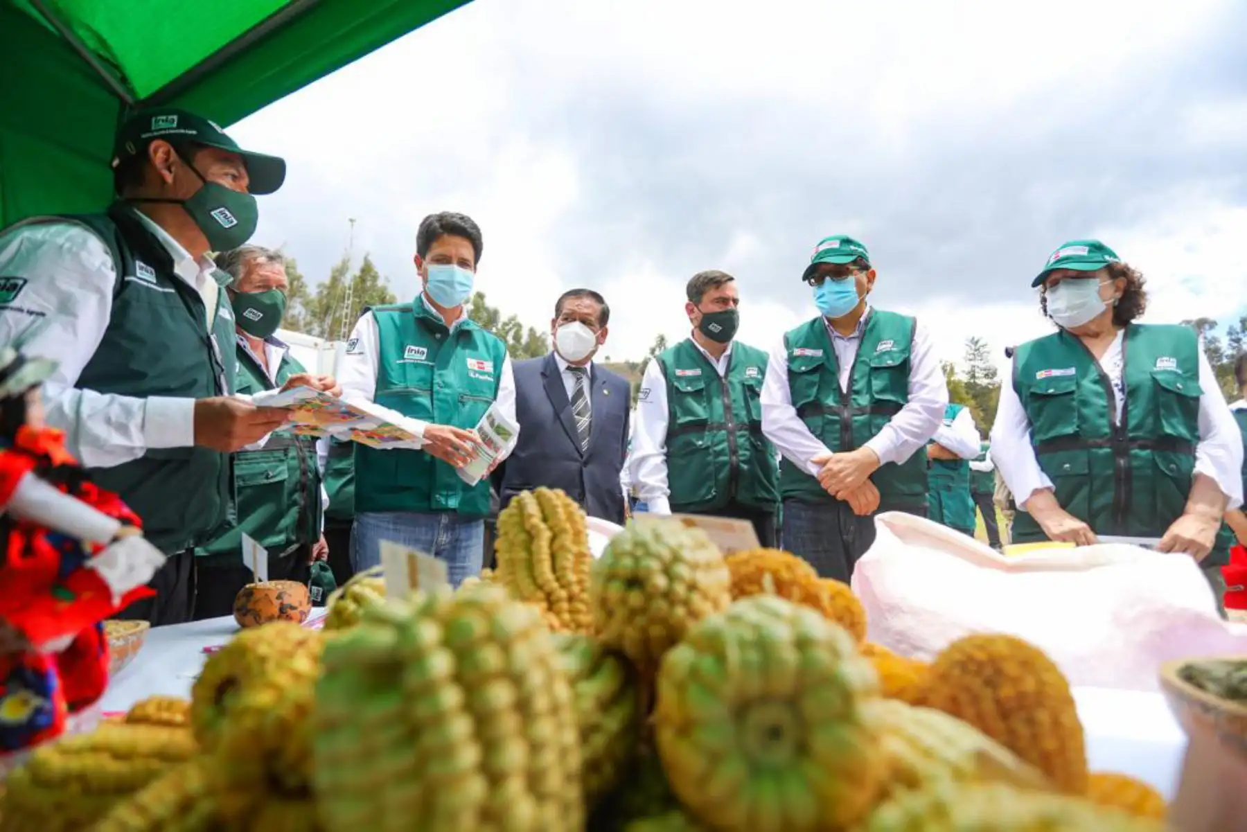 Con la finalidad de potenciar la rentabilidad y competitividad del cultivo de quinua, el titular de Desarrollo Agrario y Riego, Federico Tenorio, presidió la ceremonia de liberación de la nueva variedad de quinua INIA 438-ACOLLINA, con alta calidad genética y resistente a plagas.
Foto: Midagri