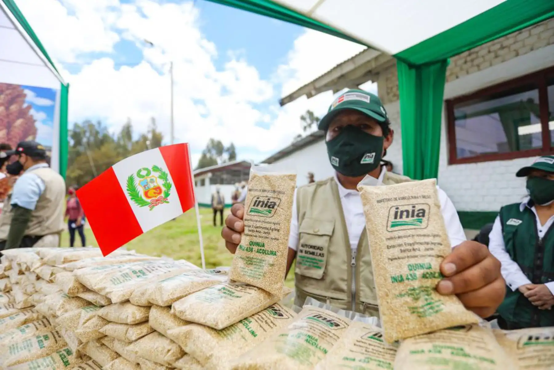 Con la finalidad de potenciar la rentabilidad y competitividad del cultivo de quinua, el titular de Desarrollo Agrario y Riego, Federico Tenorio, presidió la ceremonia de liberación de la nueva variedad de quinua INIA 438-ACOLLINA, con alta calidad genética y resistente a plagas.
Foto: Midagri