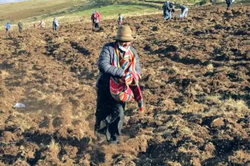 Agricultores. Foto: ANDINA/difusión.