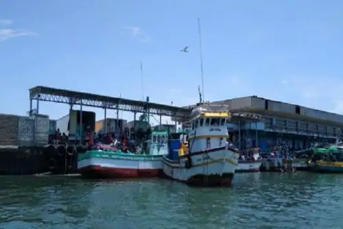 Entre los beneficiarios se encuentran organizaciones de Huacho, Carquín y Végueta (Lima); San Andrés, Lagunillas y Laguna Grande (Ica); y Lobitos, Órganos y Parachique (Piura).