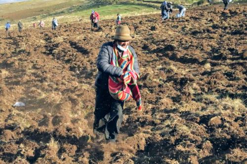 Especialistas y funcionarios gubernamentales debaten en Perú amparo de la agricultura familiar ante el cambio climático. ANDINA/Difusión