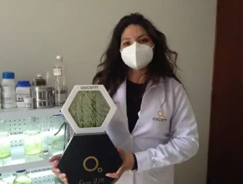Conoce a Athalí Castro, la visionaria investigadora arequipeña que ganó premio del MIT gracias a su proyecto que propone el uso de biorrectores de microalgas para combatir la contaminación ambiental.