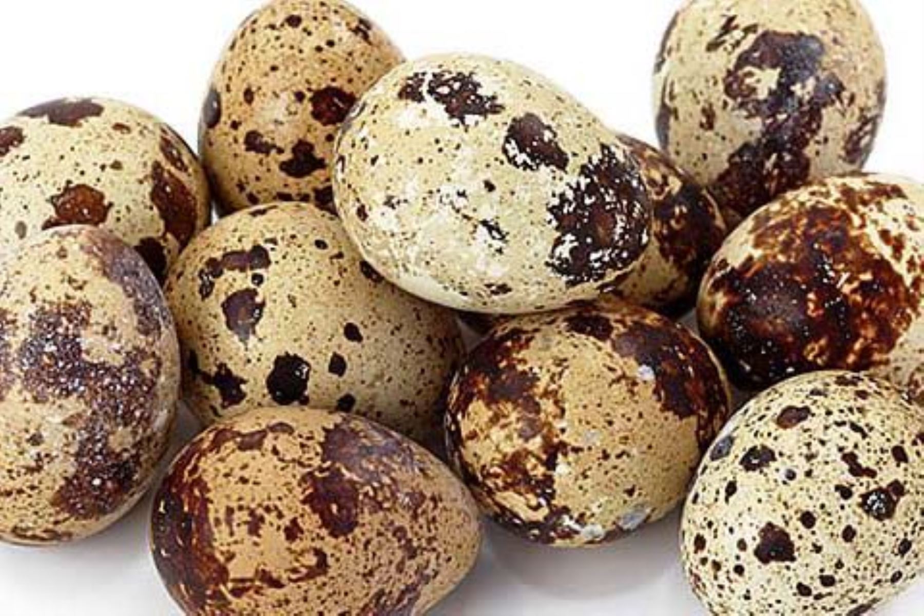 El huevo de codorniz es un superalimento de creciente consumo en el Perú que contiene vitamina D, nutriente clave para fortalecer el sistema inmune frente a infecciones como el covid-19. ANDINA/Difusión