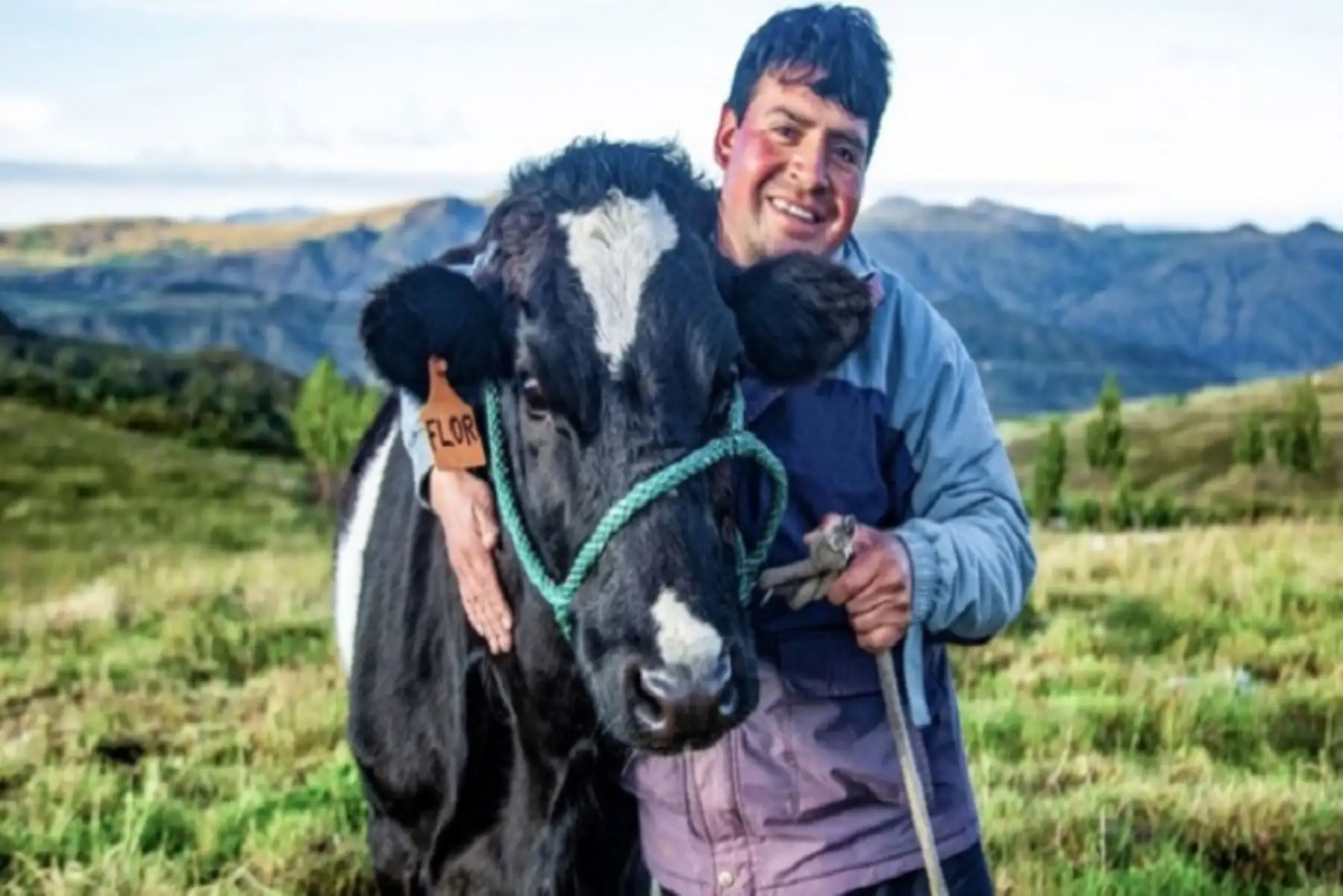 Se beneficiará a cerca de 200 familias que, ante la presencia de fenómenos climáticos adversos, podrán reducir las altas tasas de mortandad y morbilidad de sus animales.