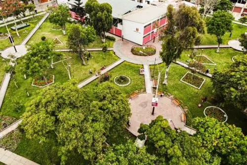 Pueblo Libre: evalúan estado de más de 5,000 árboles . Foto: ANDINA/Difusión.
