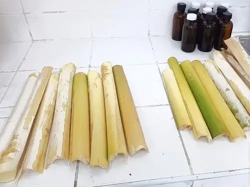 Investigadores de la Universidad Nacional Toribio Rodríguez de Mendoza de Amazonas desarrollan un proyecto que plantea elaborar alimentos a partir de residuos de la industria palmitera.